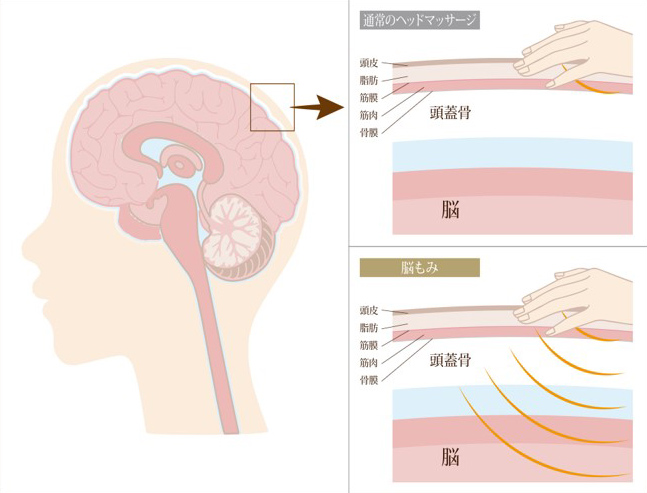 脳もみとは？ 今までの常識・知識にとらわれない脳にアプローチする全く新しい脳の整体